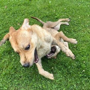 Meet your Posher, Katie